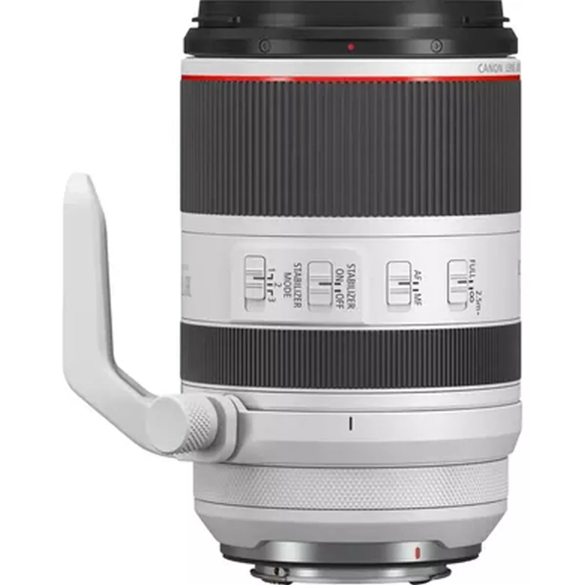 Canon RF 70–200 mm f/2.8 L IS USM