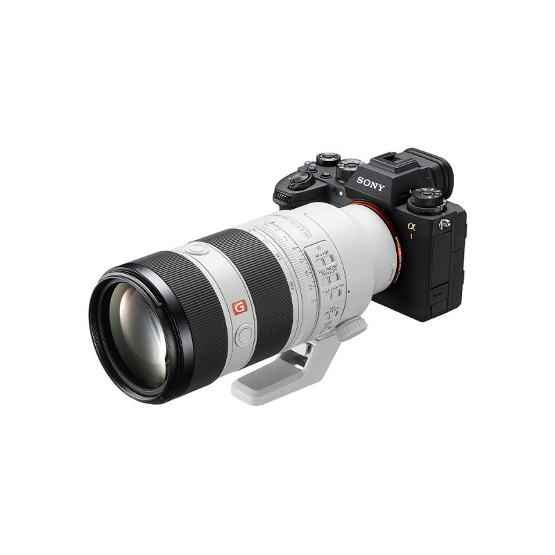 Sony FE 70-200 mm f/2.8 GM OSS II