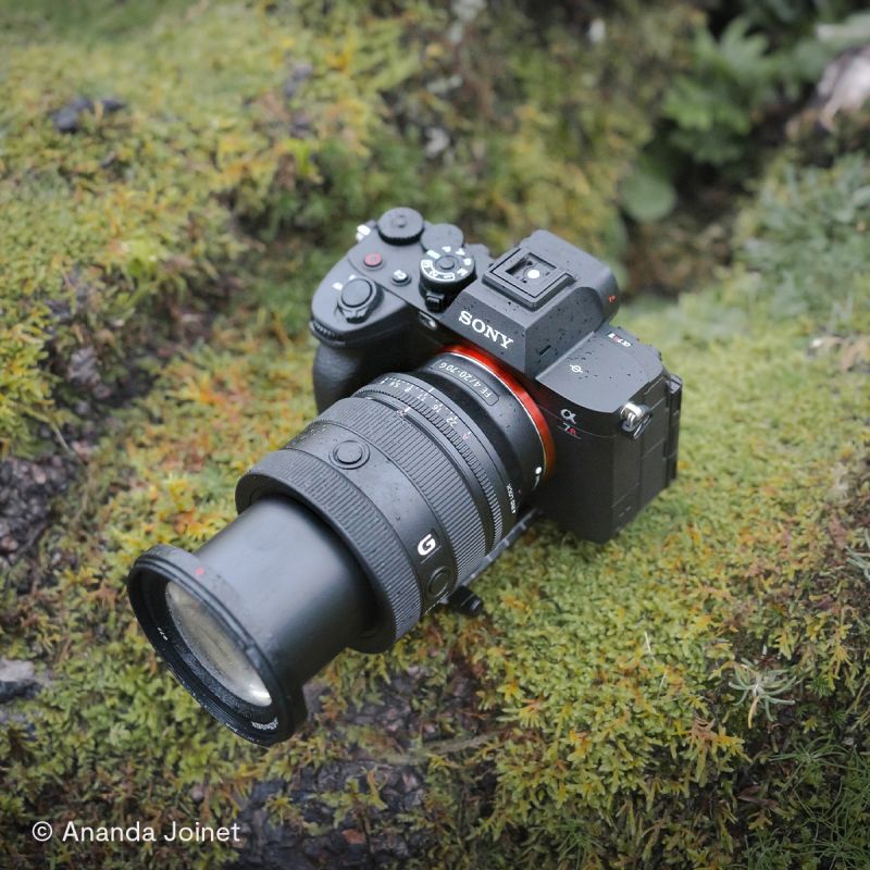Sony 20-70 mm F4 Premium G FE